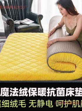 莱绒床垫加厚榻米海绵法垫榻单00394双人舍垫被褥子记忆棉垫子宿