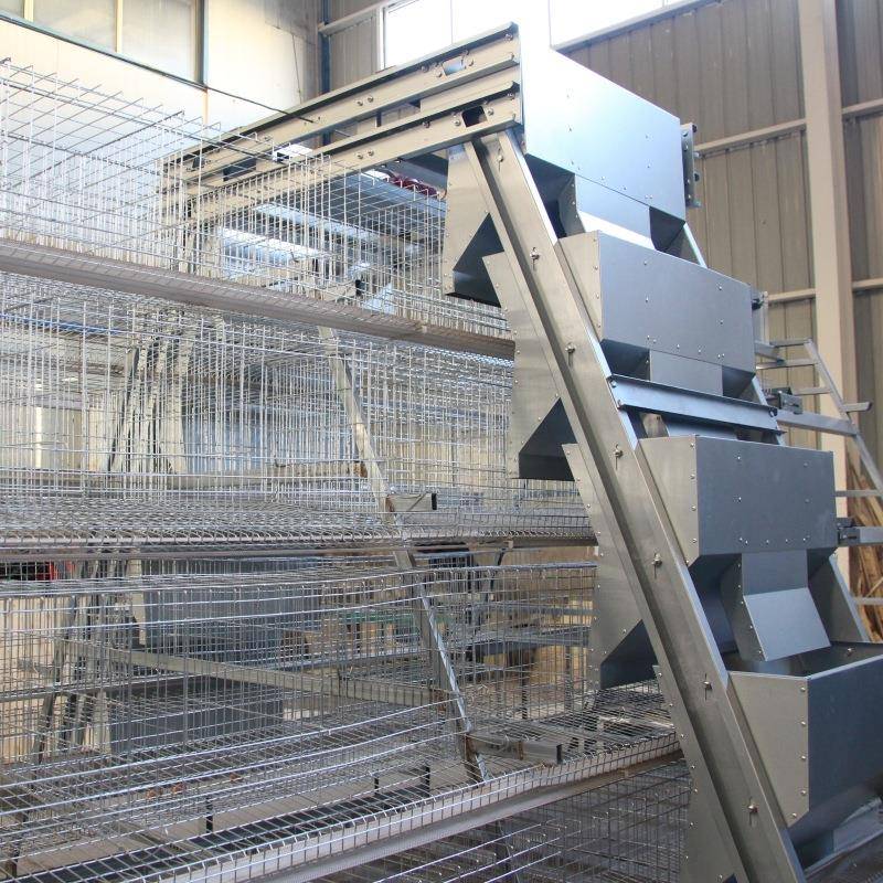 全自动梯式鸡蛋鸡笼动喂CJD料阶清粪养设备自养殖场鸡舍鸡笼子