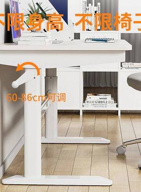 学乐仙乐居儿童学桌生桌书家用写字桌青习年可升降QCF电脑办公桌
