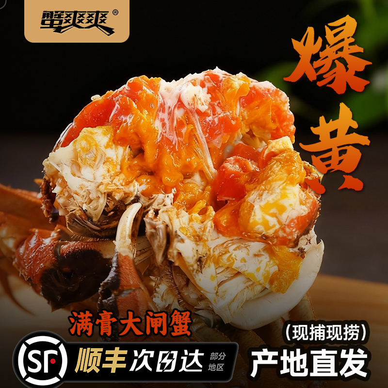 蟹爽爽鲜活大闸蟹礼盒