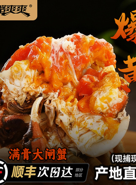 蟹爽爽活蟹大闸蟹鲜活现货大公大母配对蟹礼盒螃蟹鲜活大闸蟹