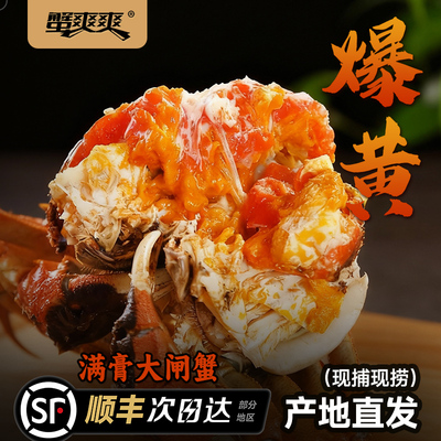 蟹爽爽鲜活大闸蟹礼盒