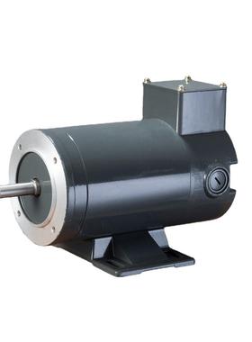 永磁流电机NEMA48C出北美东南亚国113ZY3T24-1/口-175无品牌/0厂