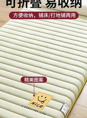 床垫软垫地打睡铺VYS垫家用可折叠铺防潮地垫地单双人租房垫