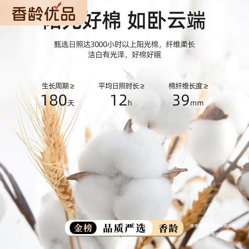 10件0AL官方店支长绒棉纯棉床单单缎100贡被单紫三色单人枕套件套,床上用品,床单,淘宝优惠券,粉丝福利购,淘宝优惠卷