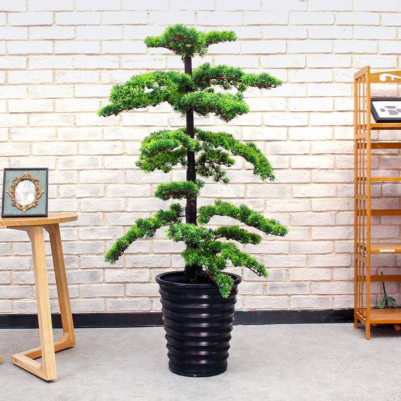 真树室内物大型仿真绿植迎仿松绿色盆栽客厅植酒店摆客放家居PUE