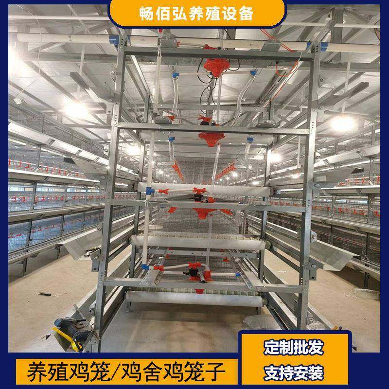框架肉鸡笼鸡舍养殖用镀锌工艺层叠式全自动鸡笼外贸全套,畜牧/养殖物资,特种养殖设备,淘宝优惠券,粉丝福利购,淘宝优惠卷