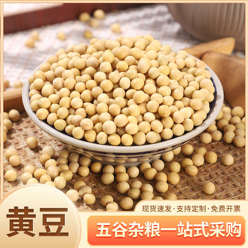 大量 东北黄豆50斤一包做豆腐打豆浆专用大豆豆子散装非转基因