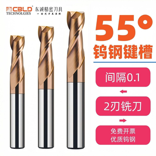 CBLD55度两刃钨钢加长键槽铣刀