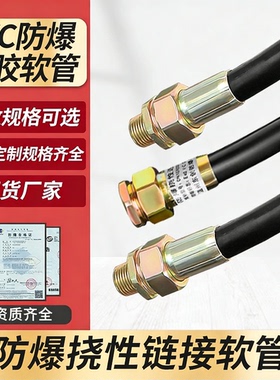 BNG防爆挠性连接管防爆软管挠性接线管4/6分防爆管分穿线管挠性管