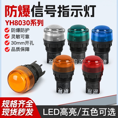 YH8030防爆信号指示灯24V220V380V红绿ExdeIIC防爆配电箱LED灯珠