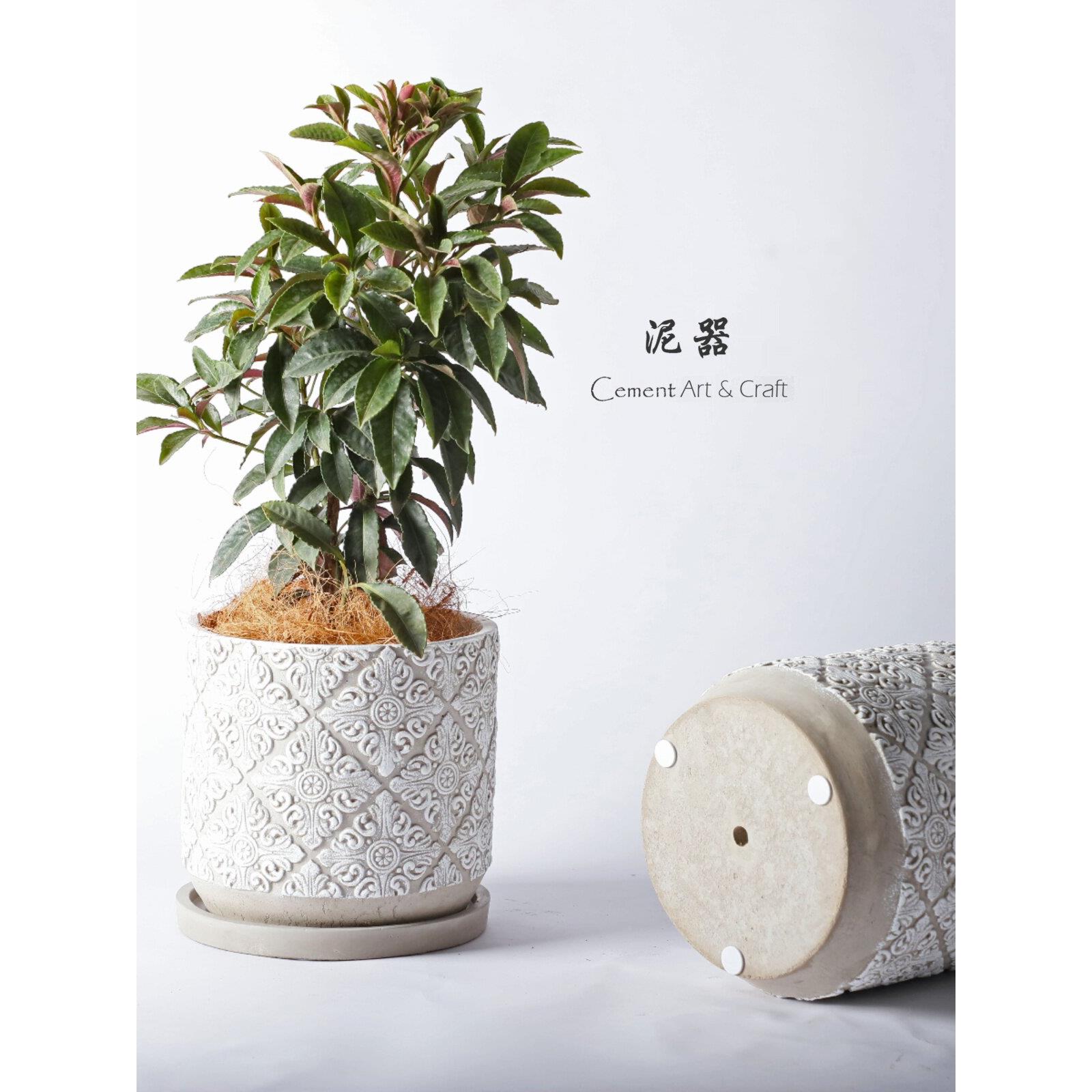 创花意斯堪的纳维亚浮覆古虎水泥盆圆形大孔与板兰雕绿色XAB植物