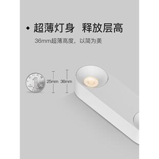 仙薄人掌先生小云圆盘3面6吸mmXrzLux\/双头超大胆灯表安装卧室无