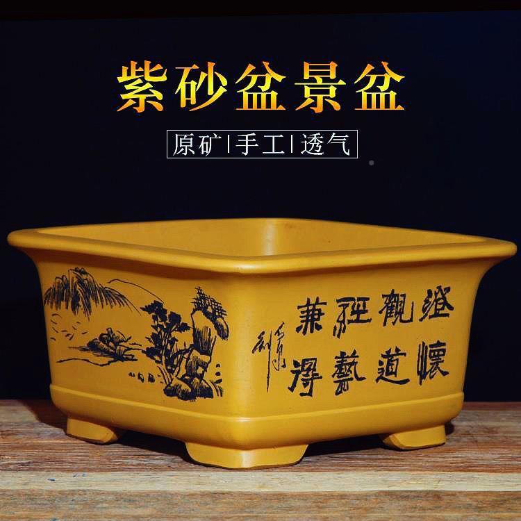 宜1兴花盆瓷盆四方形室内植梅花精榕树老桩金弹子陶物品盆景