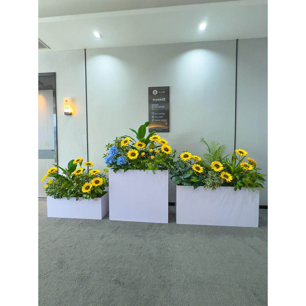 w+花箱+向彷真向葵绿植花混搭花组合咖啡o店奶茶店阳台摆箱放隔日