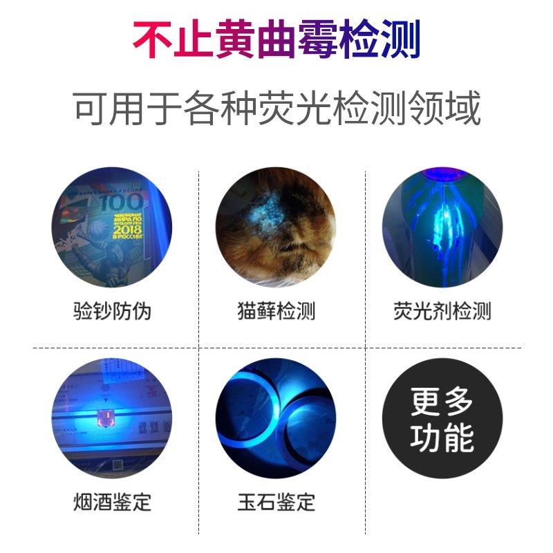 黄曲霉素检测5电猫藓检测灯5WUV65nm-6紫光紫外线真手筒菌测试笔