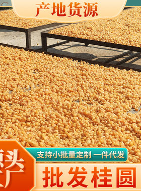 桂圆肉干500g无核无沙灯笼肉越南空心龙眼肉8A桂圆干优质滋补