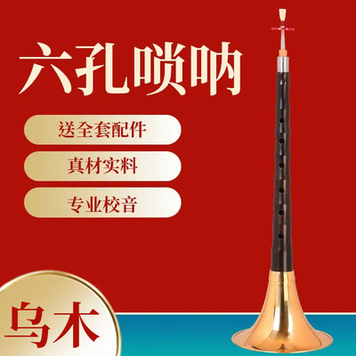 乌木六孔唢呐6孔初学者乐器笛子唢呐喇叭全套专业降B调D调演奏