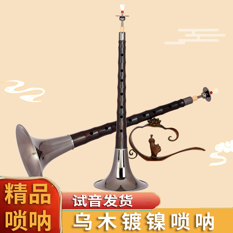 网红镀镍唢呐钨镍唢呐D调降b调专业乌木唢呐乐器初学者全套喇叭