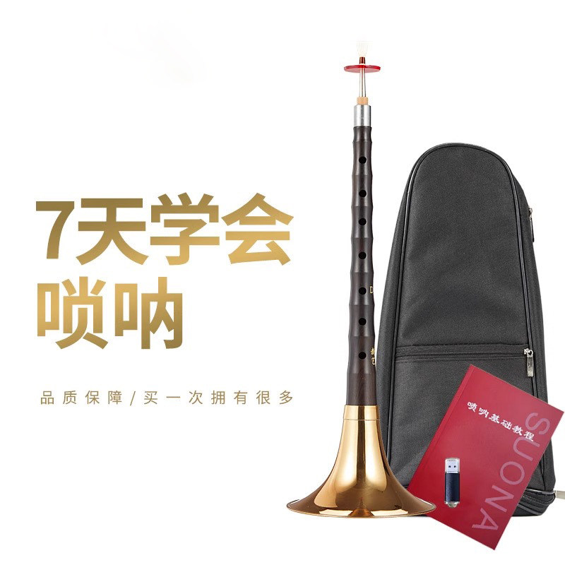乌木唢呐专业演奏级全调D掉唢呐初学者入门乐器