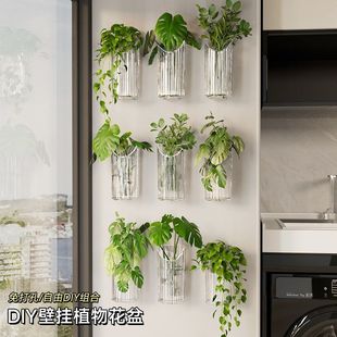 水培植物壁挂花盆透明绿萝鲜置物架创意客厅墙壁装 饰挂件绿植花瓶