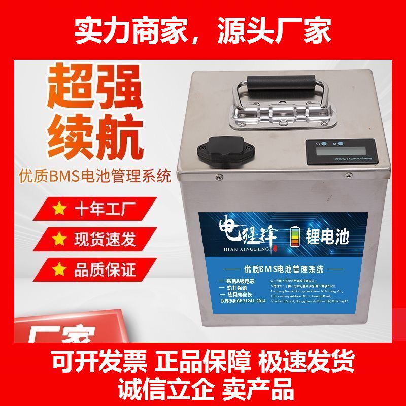 德国十大品牌定制厂家宁德锂电电动三轮车60v锂电池72v锂电池固态
