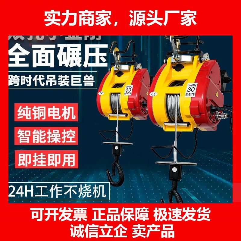 德国十大品牌双孔小金刚电动葫芦220v小型悬挂钢丝绳家用吊机快速,五金/工具,其他起重工具,淘宝优惠券,粉丝福利购,淘宝优惠卷