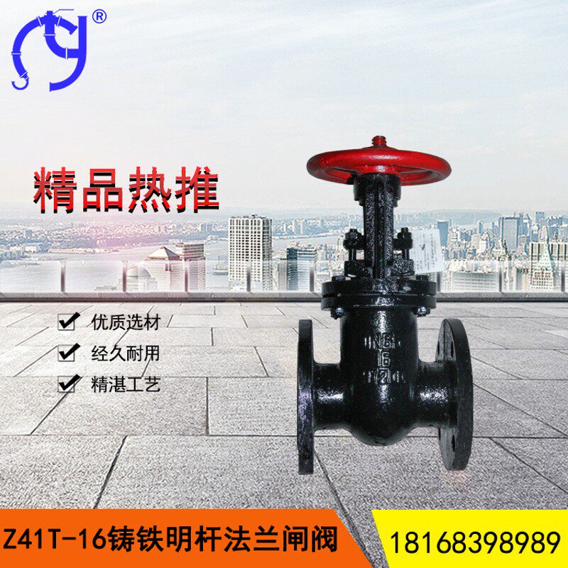 Z41T-16铸铁明杆法兰闸阀铜芯手动闸板阀排污消防水阀门DN50 100
