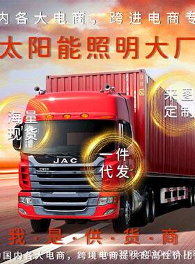 阳能路灯用户外NY-88900庭院灯新农村大功太率LED全防自动水防雷