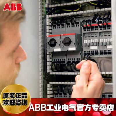 BBAFC交流接触器A1F1C6A-30-0K-51/1KBB0261906