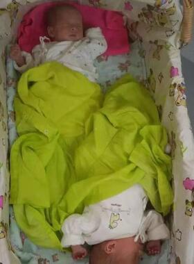 藤编摇实篮床婴儿床木新ZED生防蚊睡篮车载出安抚摇窝便外携提式