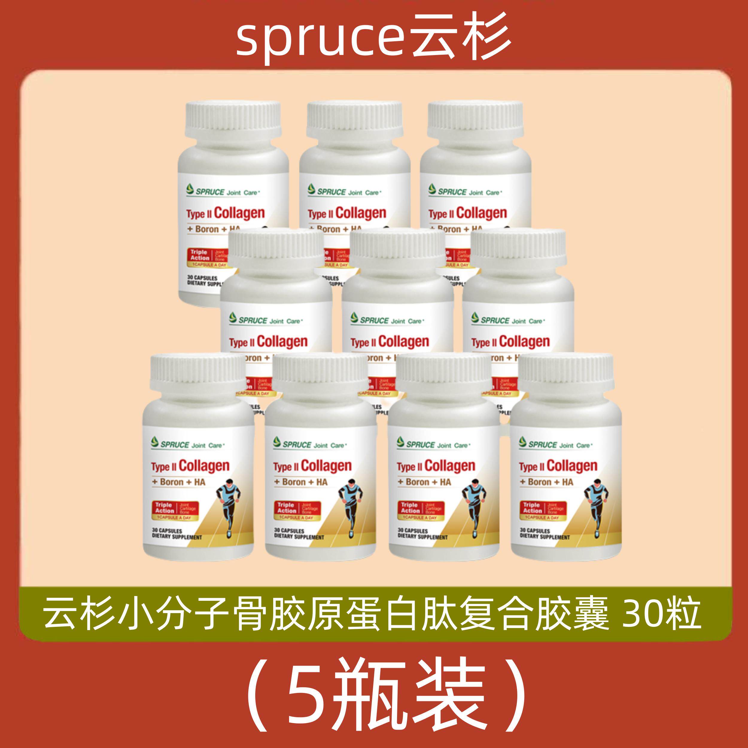 美国spruce云杉小分子骨