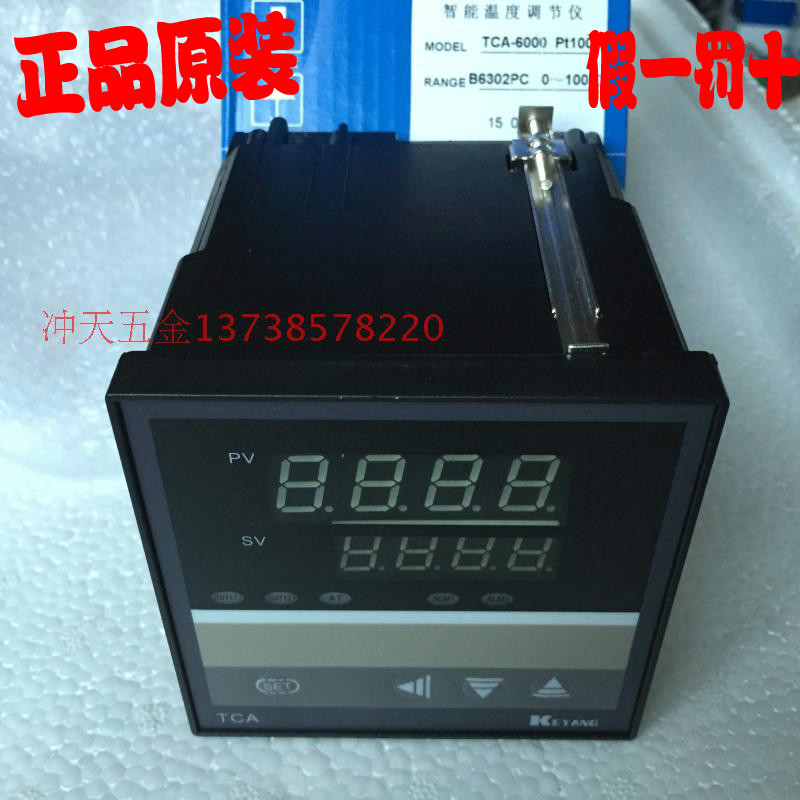 科洋智能温度调节仪TCA-6000系列 TCA-6302PC温控仪器Pt100分度号