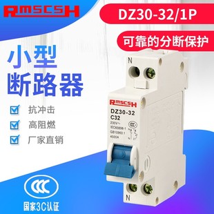 小型断路器 20A 16A DPN漏电保护器 25A 10A 32A DZ30
