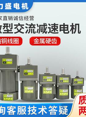 6W15W25W40W60W120W180W200W250W300W400W齿轮调定减速变频电机