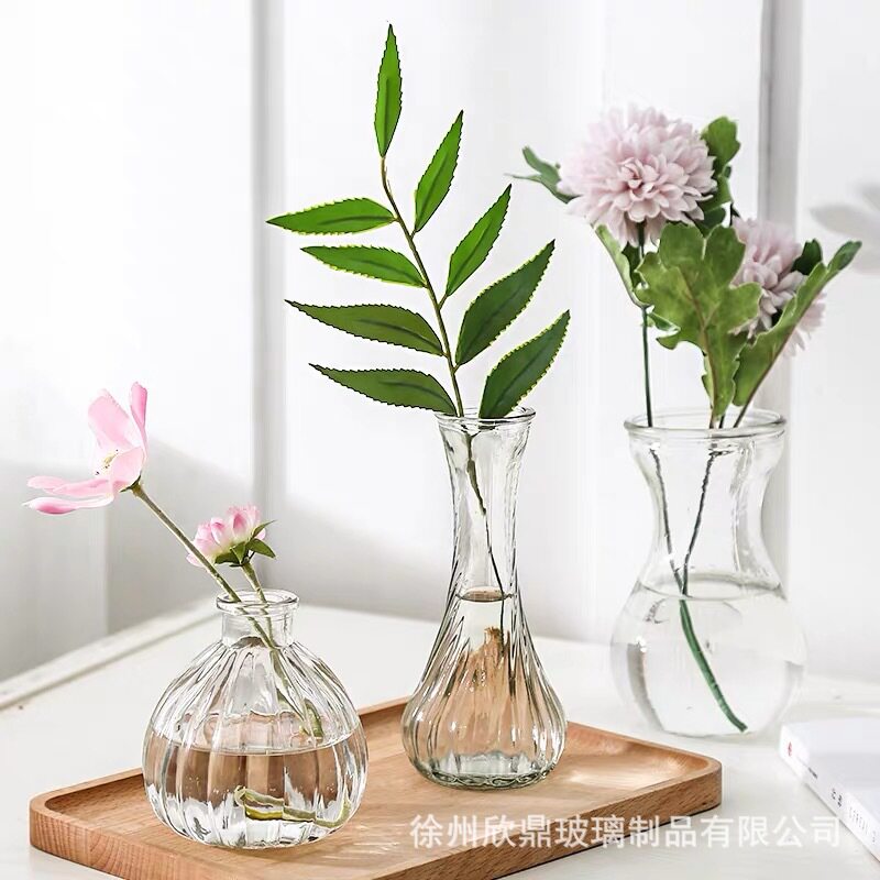 花插花瓶水养花草家用绿植摆件玻璃瓶装饰花杯子绿萝绿箩清新水培