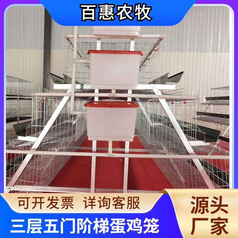 养殖场用层叠式三层五门绿槽蛋鸡笼设备热镀锌多层阶梯式笼养鸡设
