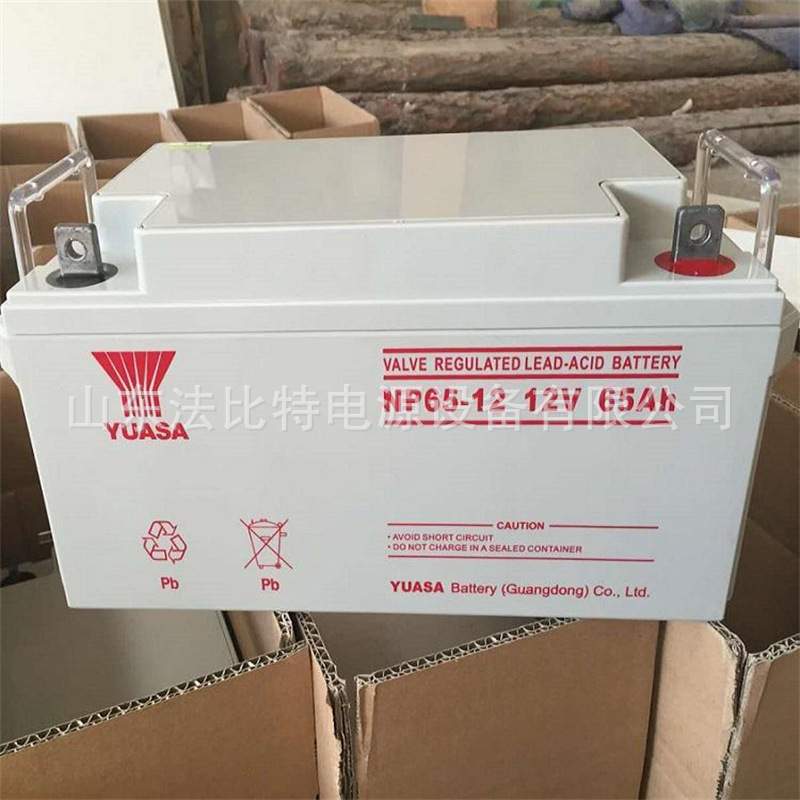 YUASA汤浅铅酸蓄电池NP65-12免维护12V65Ah质保3年 含税运