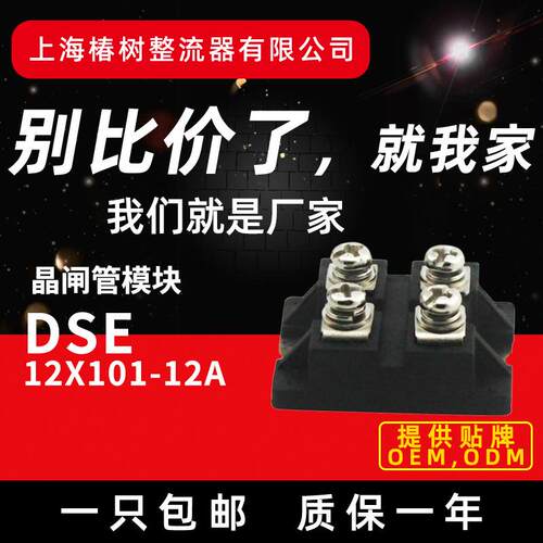 DSE12X101-12A