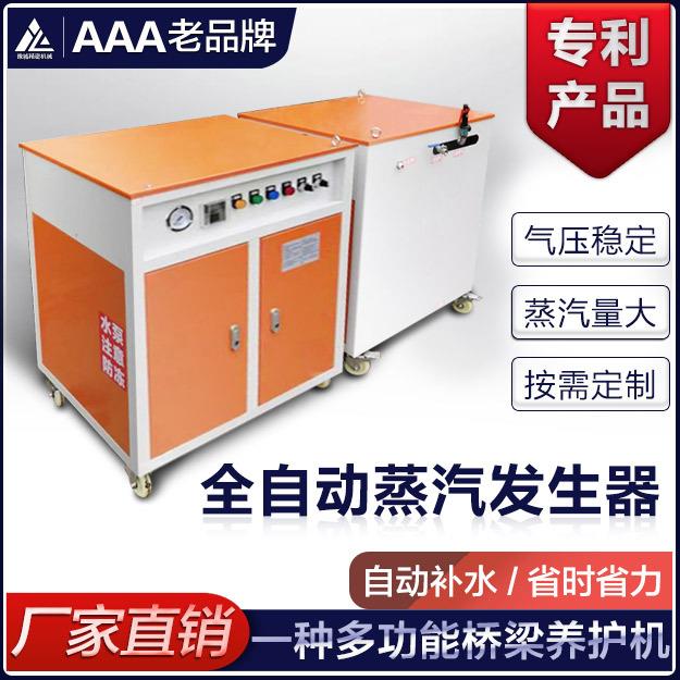 热销混凝土养护蒸汽机 冬季桥梁蒸汽养护设备 全自动电加热蒸养机