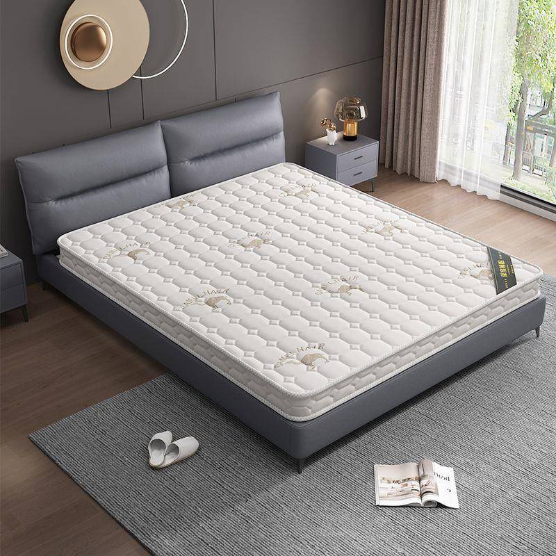 冬夏两用环保椰棕床垫偏硬棕垫护腰护脊老人儿童薄棕榈