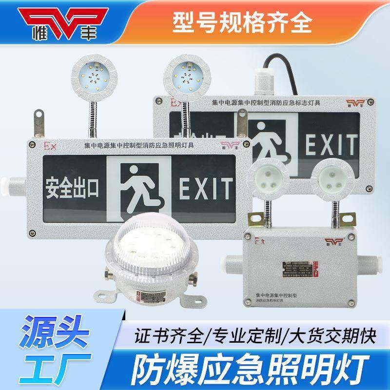 防爆应急灯led照明灯隔爆型BCJ双头疏散标志多功能安全出口指示灯