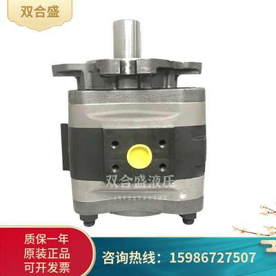 voith福伊特齿轮泵IPVAP7-125/160/200/250-111定量泵液压传动