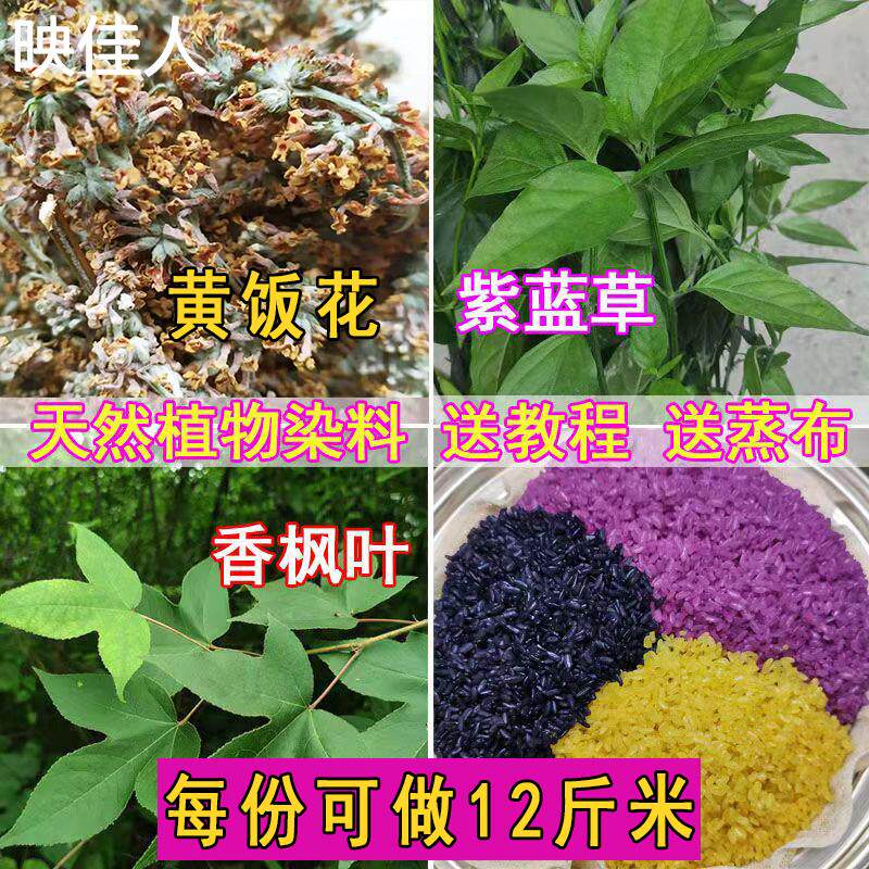 广西五色糯米饭植物染料枫香叶红蓝草三月三清明节黄饭花黑橙紫黄