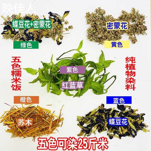 广西壮乡五色糯米饭植物染料红蓝草紫蓝草密蒙花染饭云南七彩色米