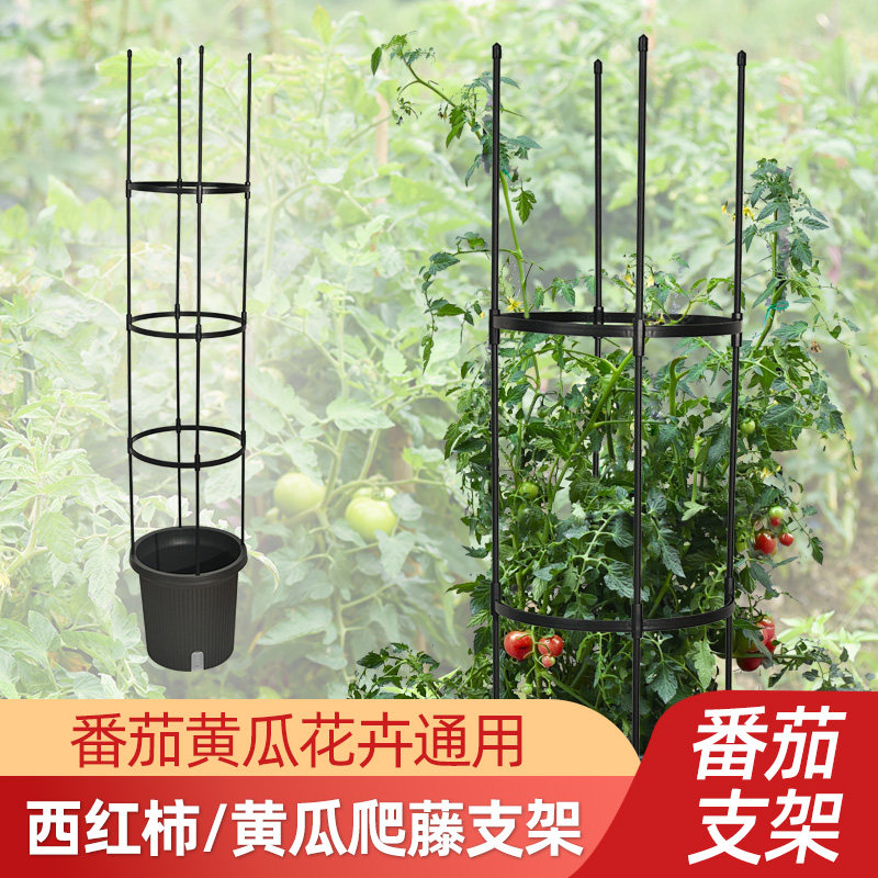 速发番茄架子爬藤架庭菜架杆菜撑家蔬台庭院固定西红柿黄瓜种支支