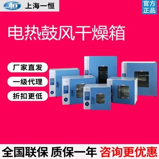 速发上海电热鼓风干燥箱实验室DHGA00-/070/240A工业恒温烘箱