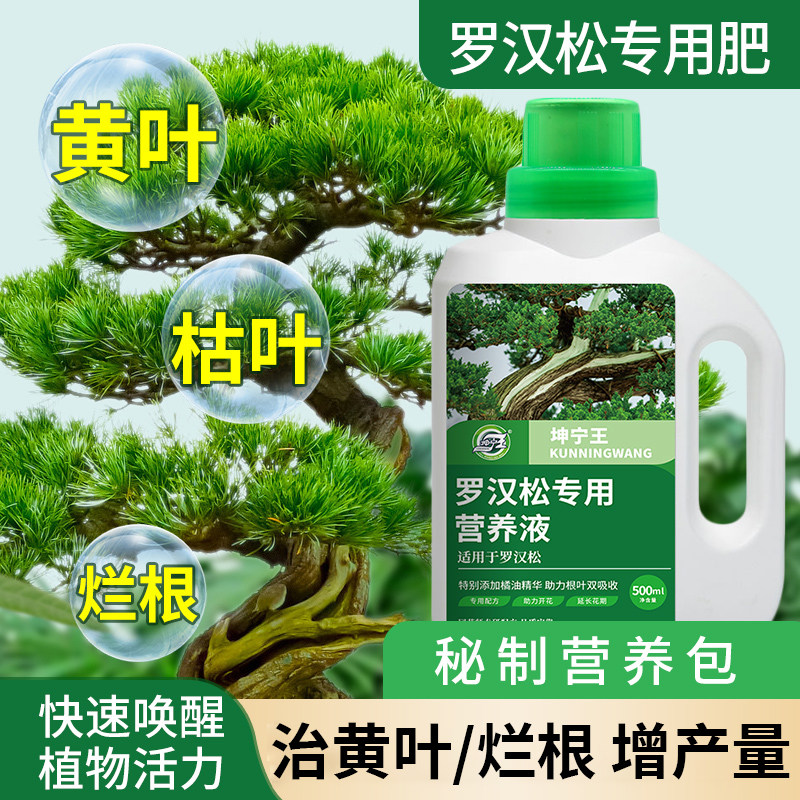 速发罗汉松专用肥营养液有松肥料松雀舌四季大阪机树盆栽景通用型