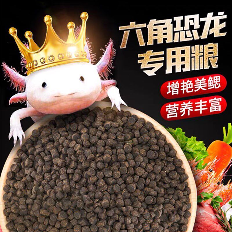 速发六角恐龙螈饲蝾鱼食高蛋白东方料鱼清道夫娃娃鱼底栖鱼下沉型