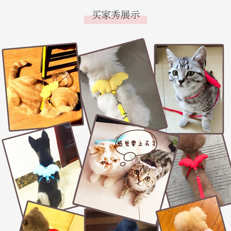 速发泰迪狗链茶杯幼奶圈项狗狗子小型犬铃铛小兔绳超小